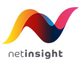 Netinsight-Main-logotype
